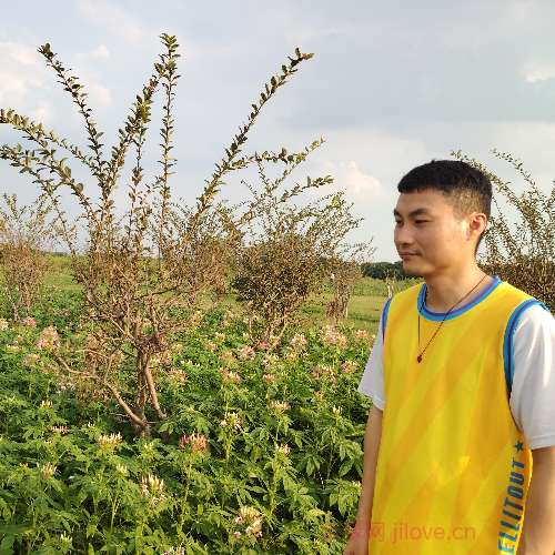 37岁岁广东单身帅哥 - 临汾吉缘网